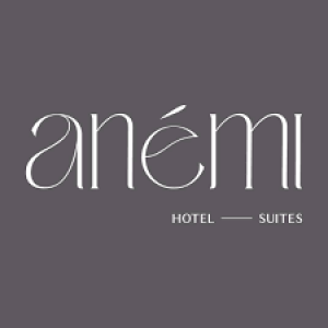 anemi hotel paphos